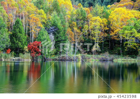 錦秋の木戸池 45423598