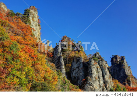 錦秋の妙義山 錦秋の妙義山 45423641