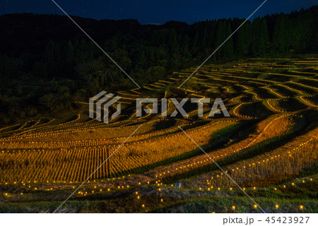 千葉県 大山千枚田ライトアップの写真素材