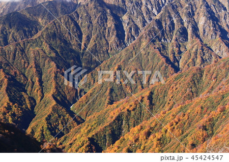 東北飯豊連峰　飯豊山山頂への道　切合小屋稜線から大日岳　紅葉の谷を望む 45424547