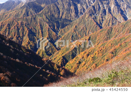 東北飯豊連峰　飯豊山山頂への道　切合小屋稜線から大日岳　紅葉の谷を望む 45424550