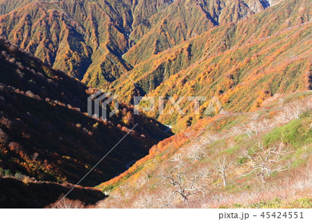 東北飯豊連峰　飯豊山山頂への道　切合小屋稜線から大日岳　紅葉の谷を望む 45424551