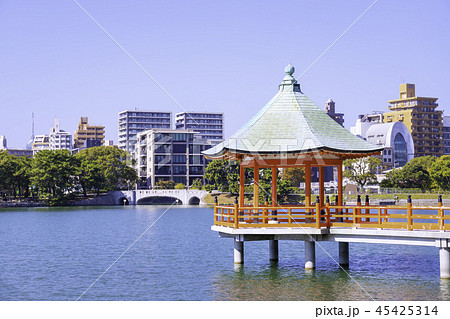 水と緑のオアシス  大濠公園 45425314