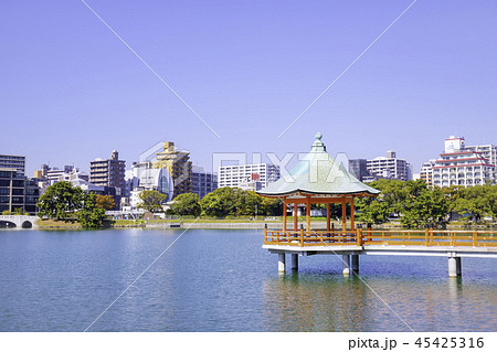 水と緑のオアシス  大濠公園 45425316