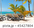 Sun chairs on the beach among palm trees in the re 45427804