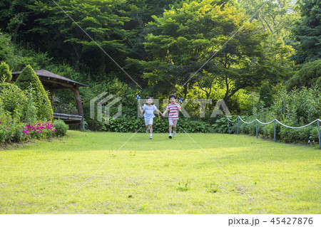 Cute little boy and girl harvesting together. Gardening, planting concept photo 329 45427876