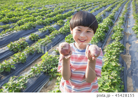Cute little boy and girl harvesting together. Gardening, planting concept photo 265 Cute little boy and girl harvesting together. Gardening, planting concept photo 265 45428155