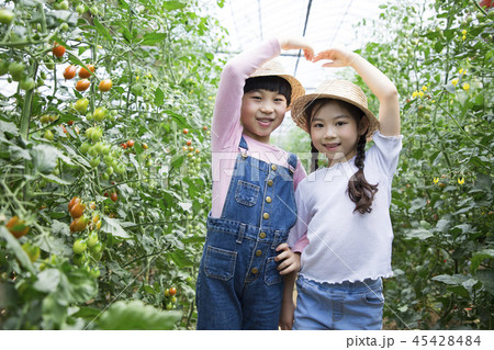 Cute little boy and girl harvesting together. Gardening, planting concept photo 119 45428484