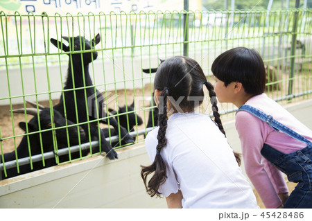 Cute little boy and girl harvesting together. Gardening, planting concept photo 121 45428486