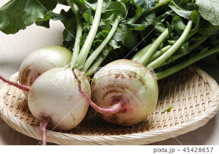 紅芯大根 45428657