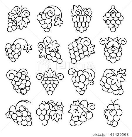 Grape fruit icon set, outline style 45429568