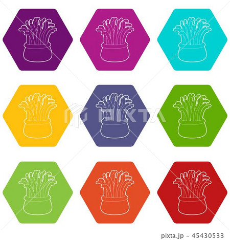 Coral icons set 9 vector Coral icons set 9 vector 45430533