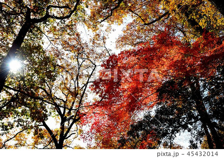 帝釈峡の紅葉 帝釈峡の紅葉 45432014
