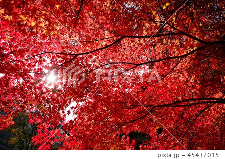 帝釈峡の紅葉 帝釈峡の紅葉 45432015