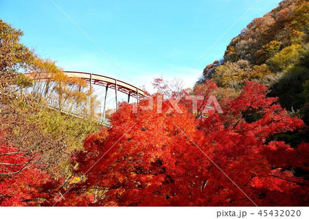 帝釈峡の紅葉 帝釈峡の紅葉 45432020