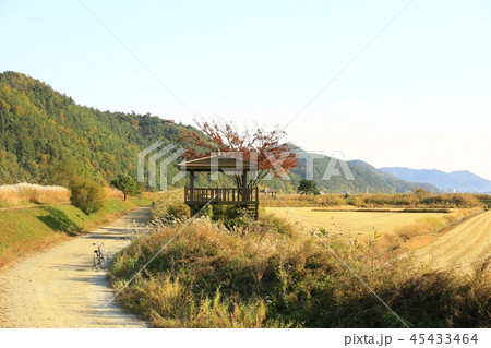 秋 葦原 夕焼け 45433464