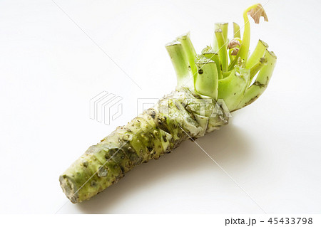 ワサビ ワサビ 45433798