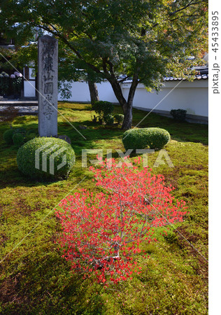 秋の円光寺 秋の円光寺 45433895