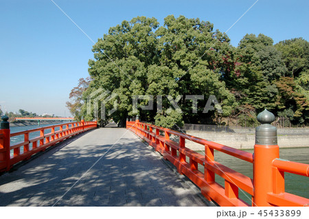 宇治の橋 宇治の橋 45433899