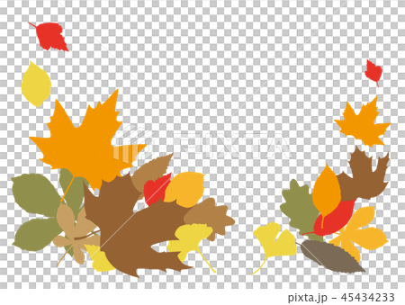 矢量 楓樹 紅楓 45434233
