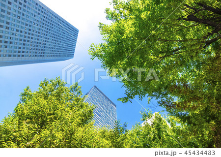 緑の多いオフィス街の風景 45434483