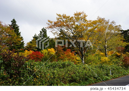 行ってみよう紅葉の八幡平ふけの湯 45434734