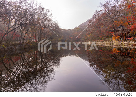 風景 紅葉 全北 45434920