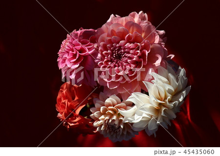 ダリアのアレンジメント ダリアのアレンジメント 45435060