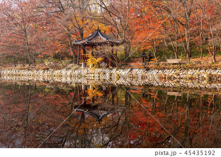 風景 紅葉 全北 45435192
