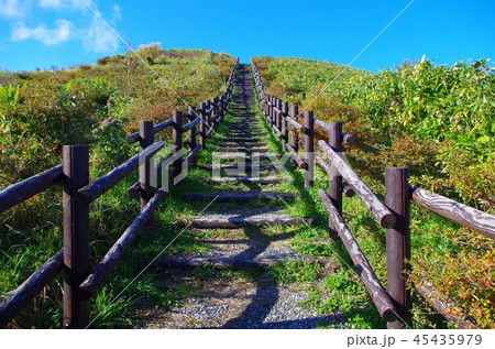 球島山登山道 45435979