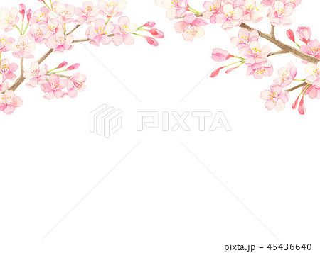 桜 水彩イラスト 桜 水彩イラスト 45436640