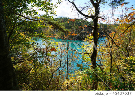 五色沼　紅葉　福島県」 45437037