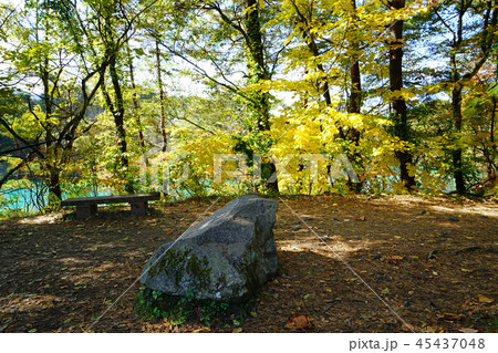五色沼　紅葉　福島県」 45437048