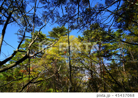 五色沼　紅葉　福島県」 45437068