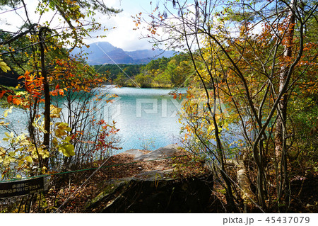 五色沼　紅葉　福島県」 45437079