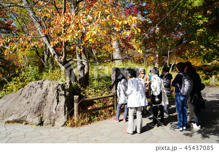 五色沼　紅葉　福島県」 45437085
