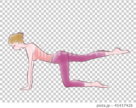 伸展·全身·一隻腳抬起·伸展運動·健康插圖圖像 45437426