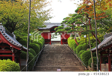 護国寺　不老門 45438023