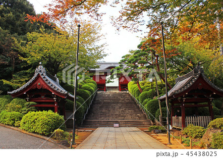 護国寺 不老門 45438025