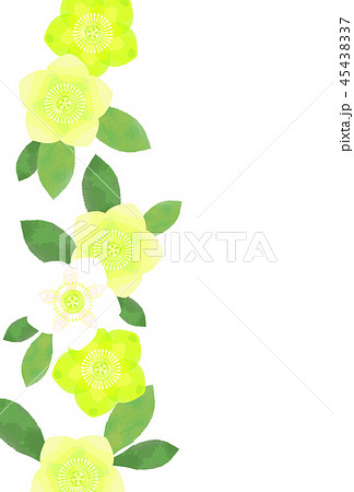 クリスマスローズのカード 45438337