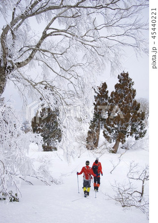 雪の氷ノ山でのトレッキング 45440221