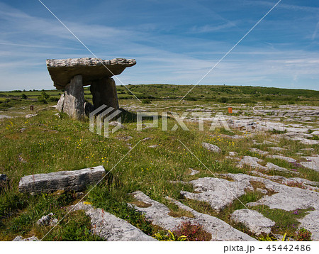 Portal tomb from rocks near Poulnabrone in Ireland 45442486