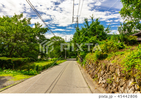 高遠城跡 大手坂 45442806