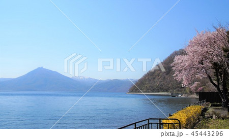 支笏湖と桜 支笏湖と桜 45443296