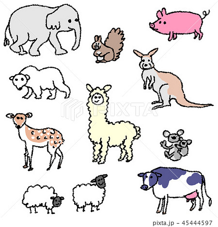 動物たち 45444597
