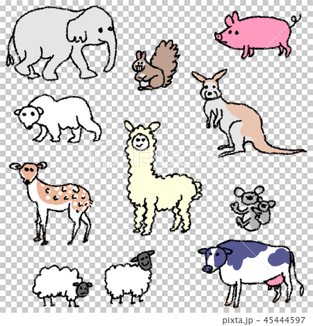 動物たち 45444597