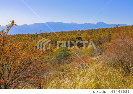 【山梨県北杜市】秋の清里高原・美し森の風景 【山梨県北杜市】秋の清里高原・美し森の風景 45445681