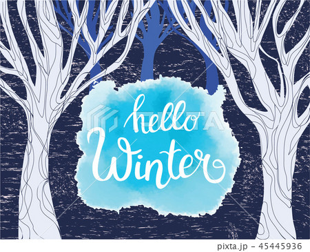 Forest background and inscription hello winter. 45445936