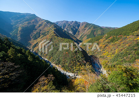 秋の祖谷渓 ひの字渓谷(徳島県三好市西祖谷山村) 45447215