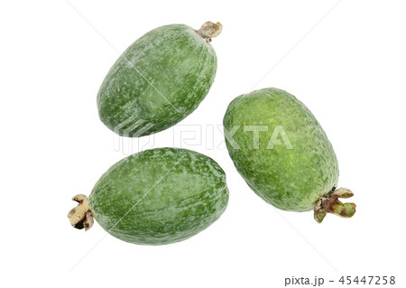 Tropical fruit feijoa Acca sellowiana isolated on white background. Top view. Flat lay pattern 45447258